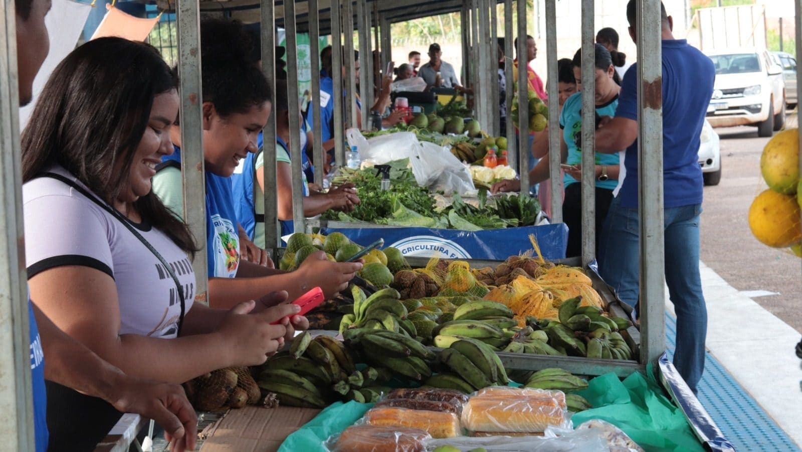Porto Acre contrata 11 agricultores por R$ 287,3 mil para merenda escolar