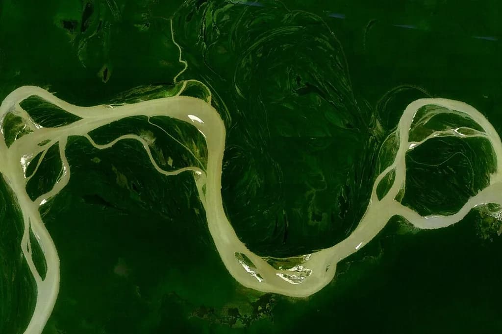 Eleições 2026: resumo das propostas dos 12 presidenciáveis para meio ambiente e Amazônia