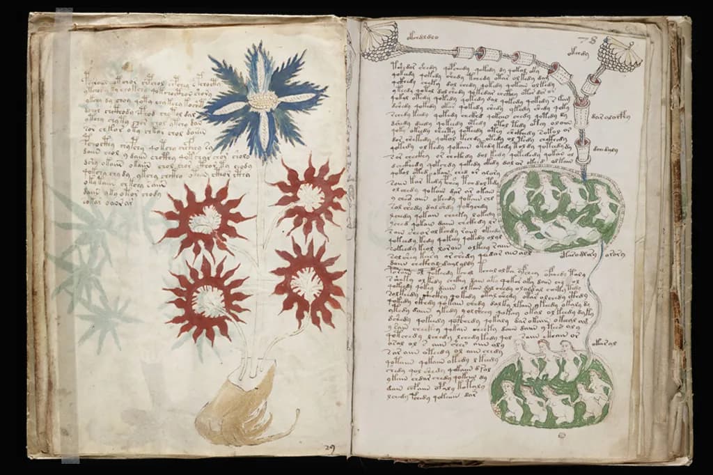 O que é o Manuscrito Voynich e por que ele é indecifrável?