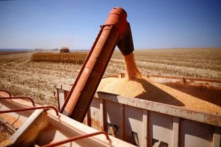 Brasil: Exportação de grãos para China caem 7,6% em setembro de 2026