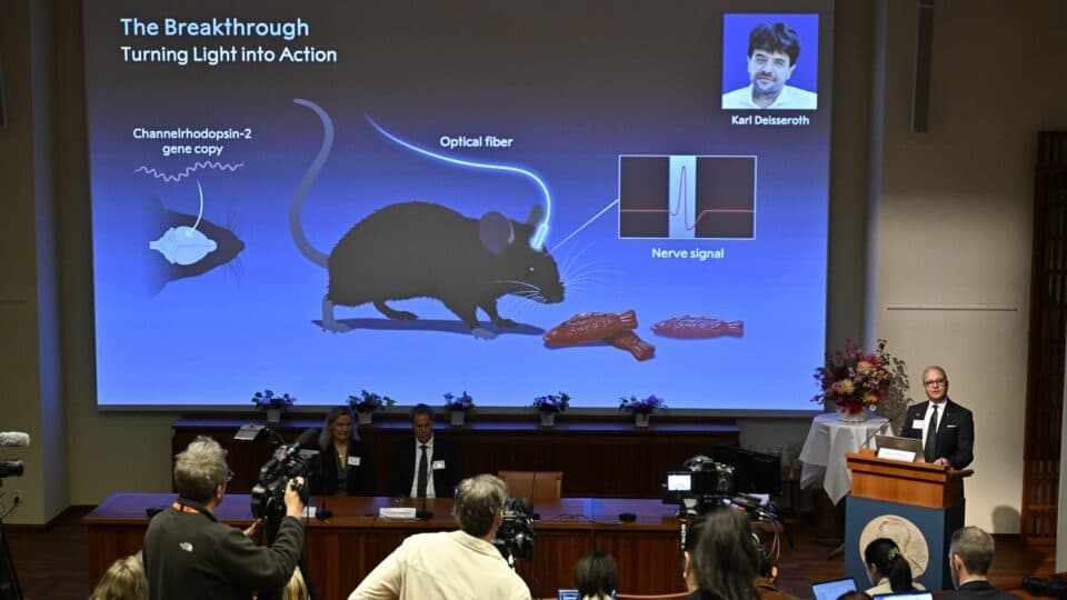 A curiosidade que levou ao Nobel: como uma pergunta sobre uma alga revolucionou a neurociência