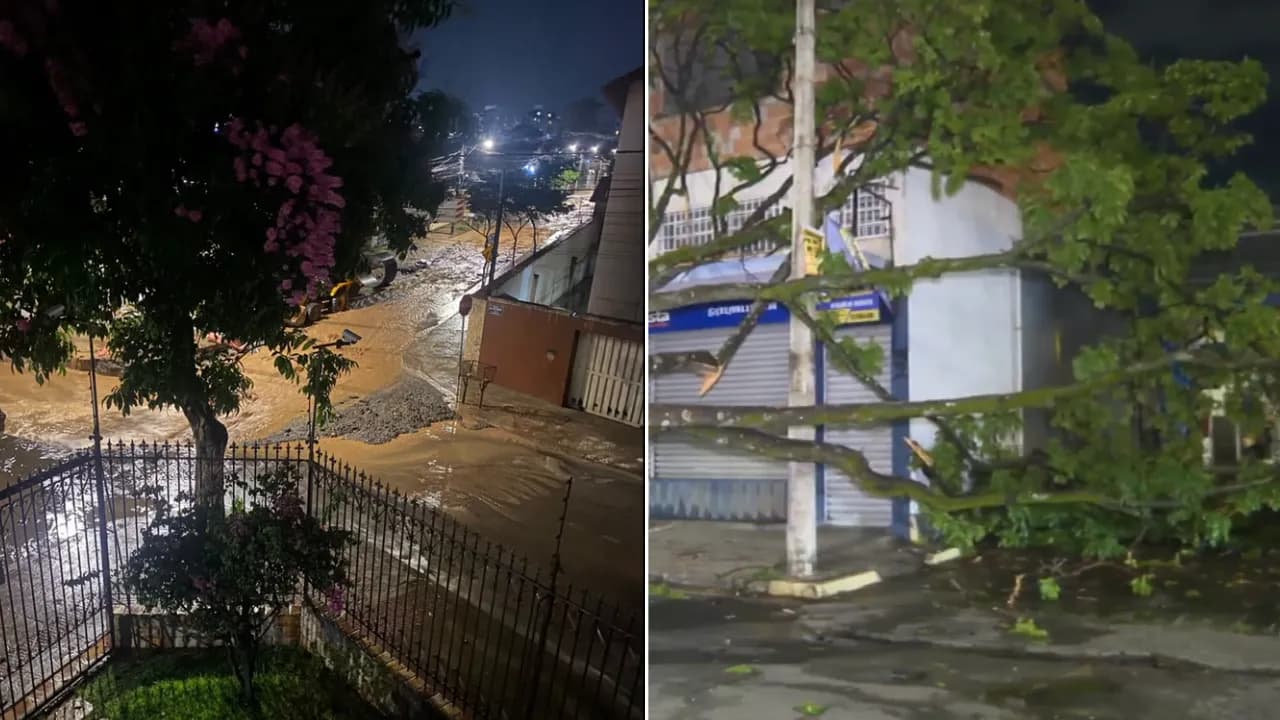 Chuva forte causa queda de árvores e alagamento em BH