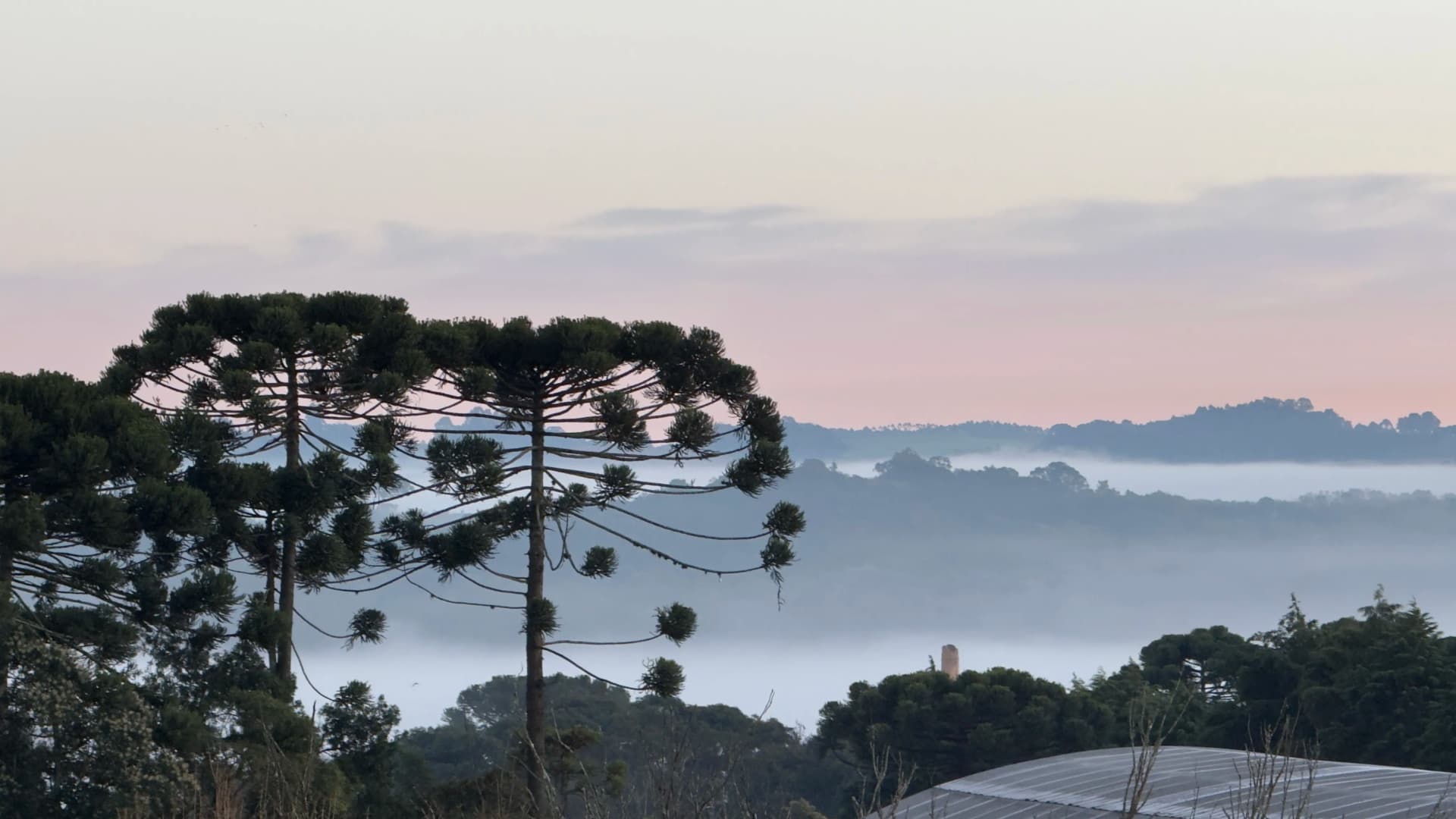 Frente fria pode provocar temperaturas próximas a 0ºC no Paraná em pleno outubro; veja quando, onde e a previsão do tempo