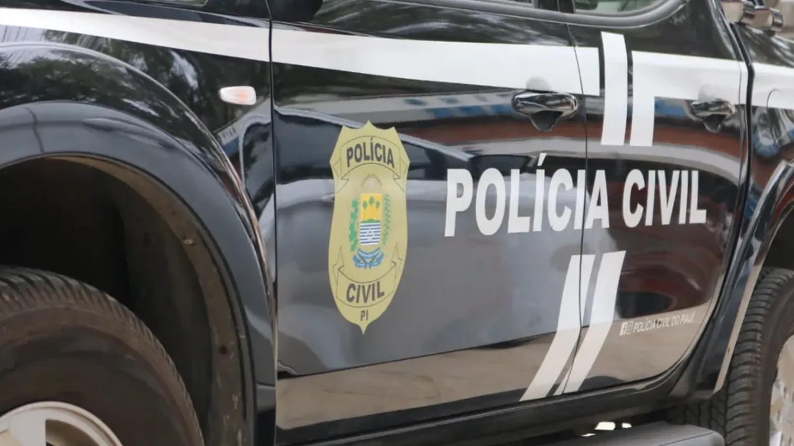 Homem é detido suspeito de incendiar a própria casa, residência da mãe e roças no PI