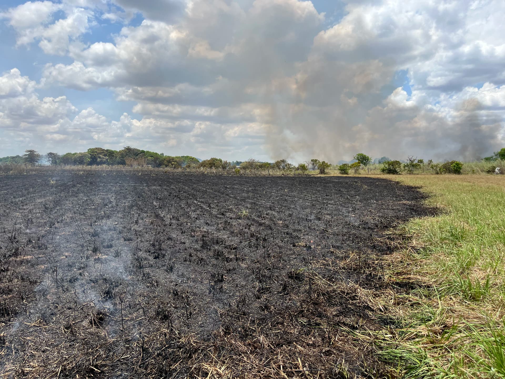 Roraima registra mais de 2 mil focos de calor até outubro de 2026 e supera total de 2025