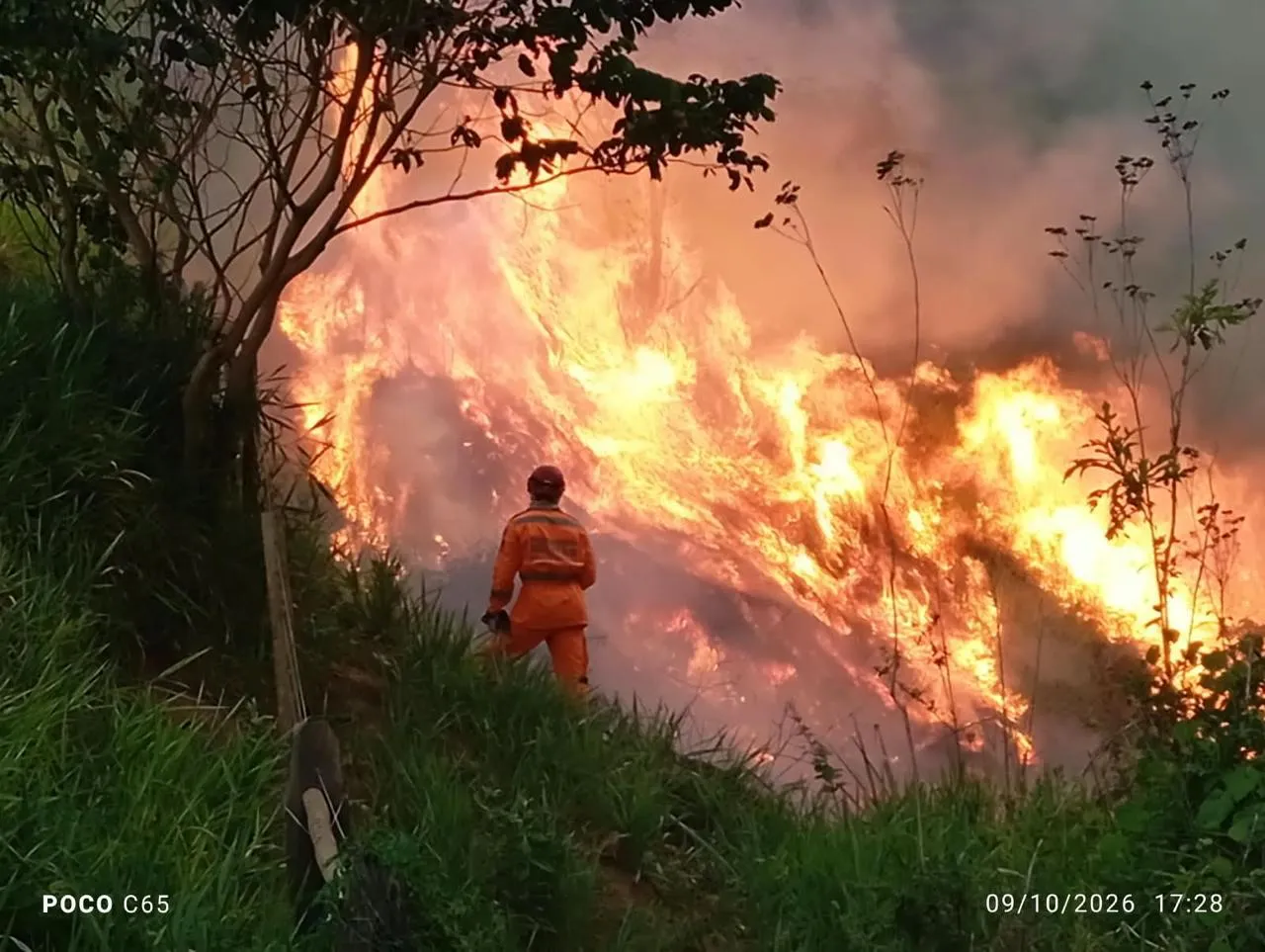 Incêndio destrói áreas de reflorestamento e mata animais em território indígena de MG