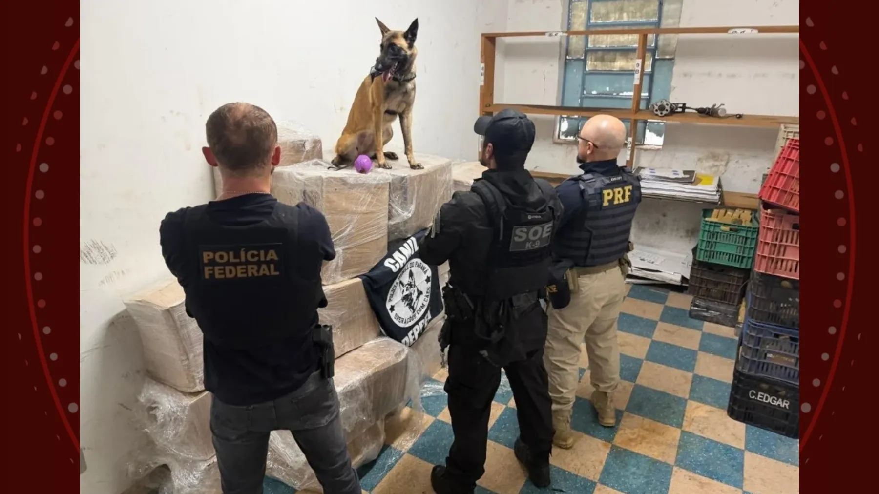 Motorista fica nervoso em abordagem e polícia descobre quase uma tonelada de maconha em caminhão, no Paraná