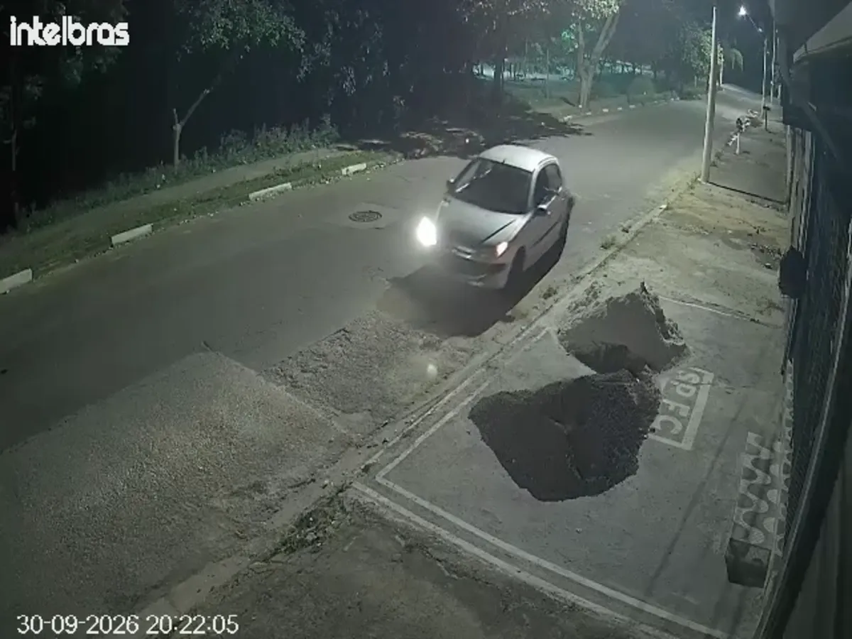 Justiça concede liberdade provisória a suspeito de jogar gato pela janela de carro no interior de SP