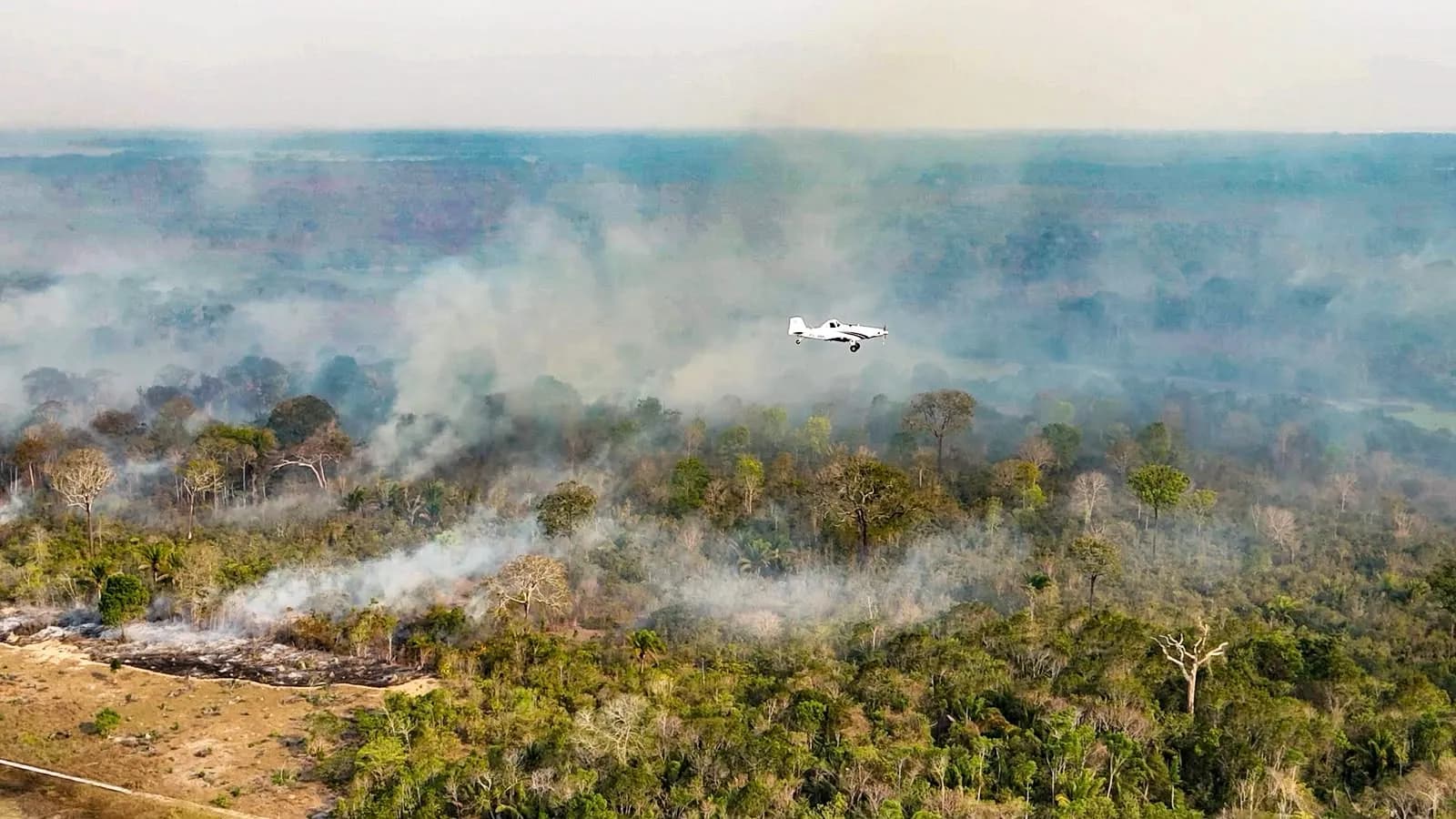 Cargueiros militares da FAB vão apoiar combate aos incêndios florestais no Amazonas