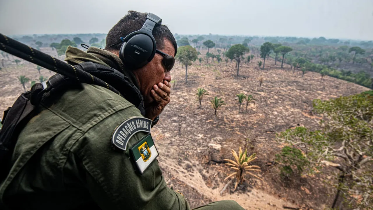 Após avanço das queimadas, Ibama inicia fiscalização em propriedades notificadas no Amazonas