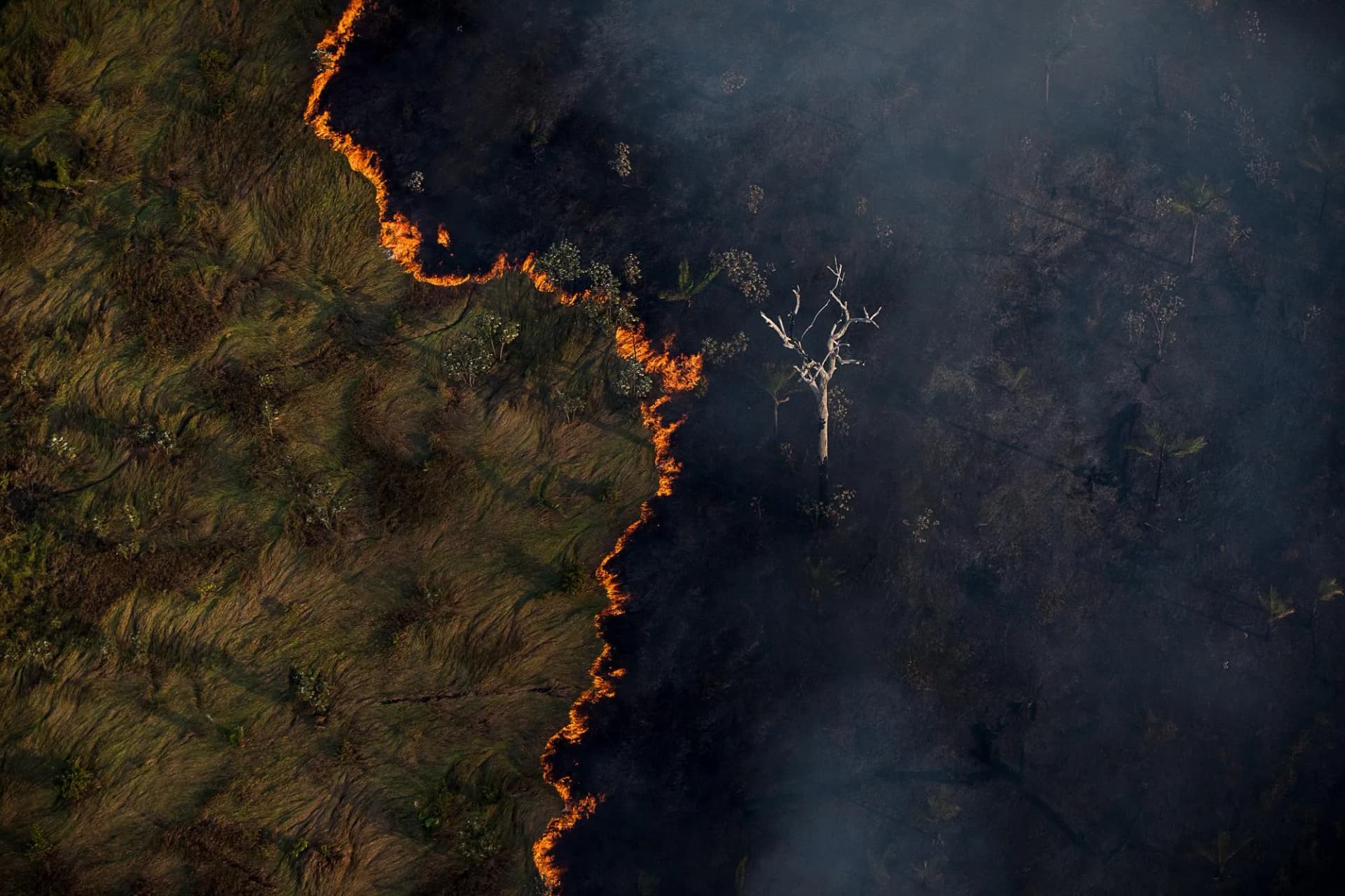 FAB envia aviões para ajudar no combate a queimadas no Amazonas