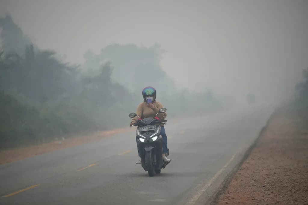 Fumaça de incêndios florestais da Indonésia atinge ao menos 4 países