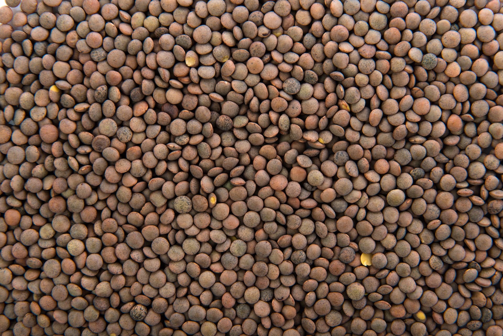 Farinha de lentilha: descubra os benefícios dessa opção para receitas veganas