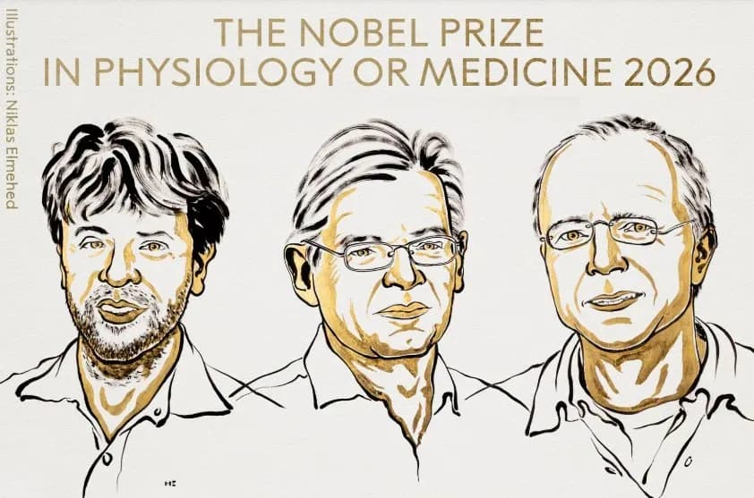 Controlar o cérebro com luz? Entenda descoberta que levou o Nobel de Medicina